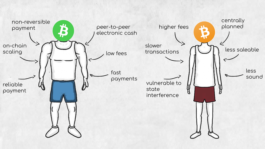 Bitcoin Cash vs Bitcoin melalui Medium